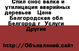 Спил снос валка и утилицация аварийных деревьев › Цена ­ 1 000 - Белгородская обл., Белгород г. Услуги » Другие   